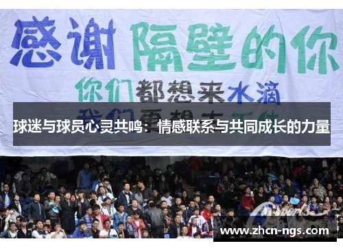 球迷与球员心灵共鸣：情感联系与共同成长的力量