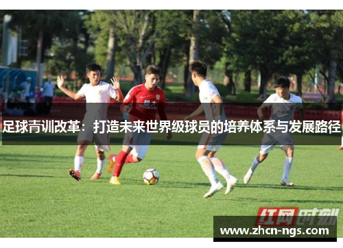 足球青训改革：打造未来世界级球员的培养体系与发展路径