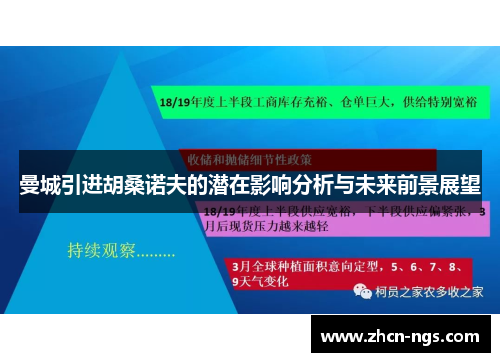 曼城引进胡桑诺夫的潜在影响分析与未来前景展望
