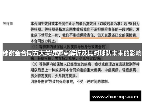 穆谢奎合同五大关键要点解析及其对球队未来的影响