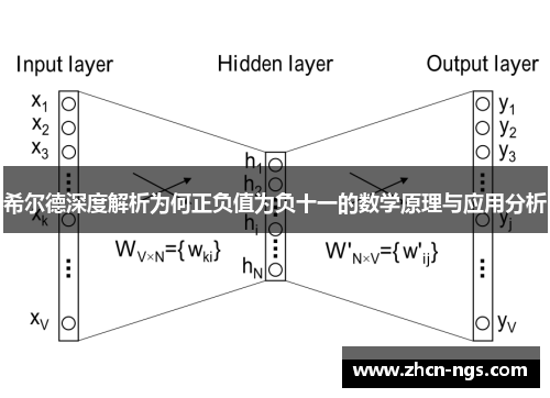 希尔德深度解析为何正负值为负十一的数学原理与应用分析