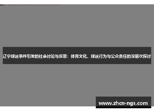 辽宁球迷事件引发的社会讨论与反思：体育文化、球迷行为与公众责任的深层次探讨