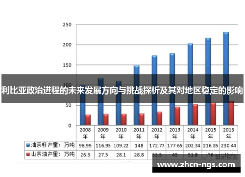 利比亚政治进程的未来发展方向与挑战探析及其对地区稳定的影响