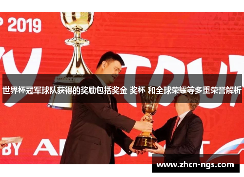 世界杯冠军球队获得的奖励包括奖金 奖杯 和全球荣耀等多重荣誉解析